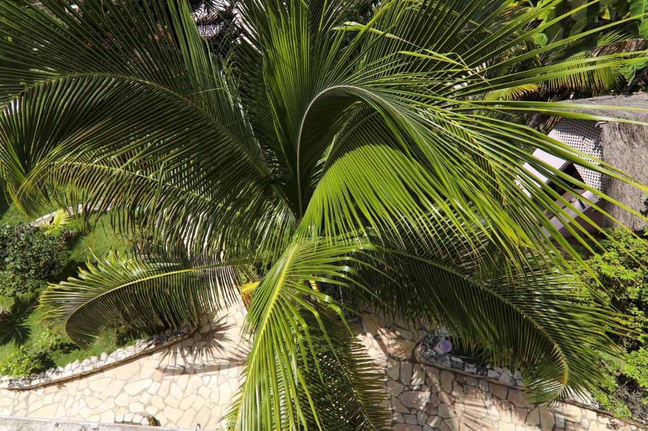 Home Sweet Home Resort نيغريل المظهر الخارجي الصورة